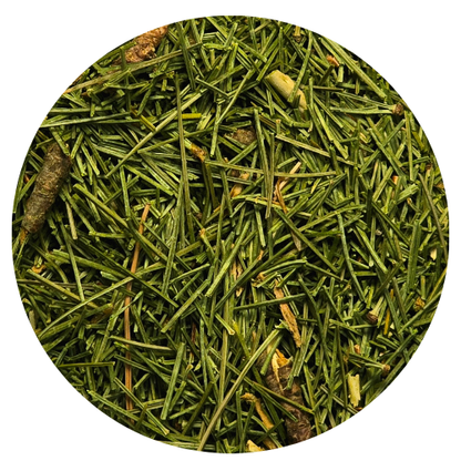 Tea Trail-Peppermint Pine