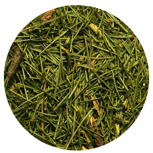 Tea Trail-Peppermint Pine